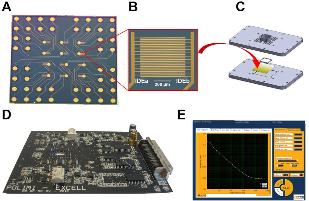 Impedance measurement setup: A) Microelectrode array chip with 12 IDEs; B) zoom-in view of one IDE (the ca. 500 μm x 500 μm opening in the silicon nitride passivation layer appears as a lighter region in the center) ; C) chip holder (the lower plate accommodates a MEA chip and the upper plate provides the 600 μl cell culture chamber and an array of holes for electrical connections using spring-loaded pins; fluid tight sealing on the MEA chip is achieved by using a laser cut silicon rubber gasket); D) Printed circuit board (PCB) of the custom-made 12-channel bipotentiostat (the PCB has an opening to the cell culture vial of the chip holder to allow liquid handling and microscopic visualization; E) user interface of the data acquisition software showing recorded impedance magnitude vs. log frequency.