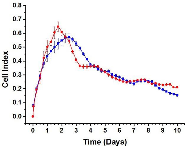 Cell Index vs. time for hVM1 Bcl-XL cells: Initial cell density 120,000 cells/cm2. Proliferating (blue) and differentiating (red) cells. Time in days after cell seeding. (Error bars: s.e.m., n = 6).