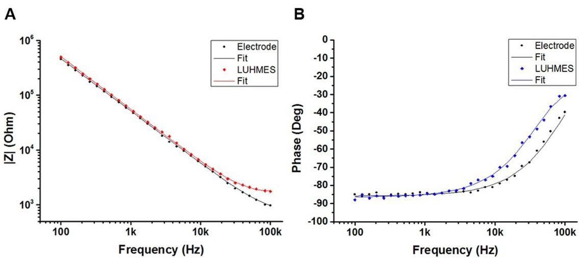 Example of typical Bode plots for an electrode and the same electrode 48 h after seeding of 60,000 LUHMES cells/cm2: A) impedance magnitude and B) phase angle. Solid lines show the nonlinear least squares fit of the experimental data to the equivalent circuit models of Fig. 6.