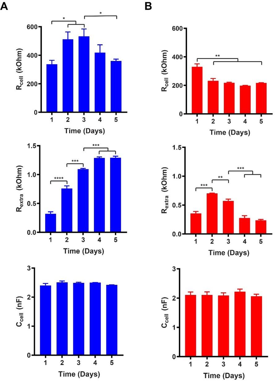 Summary of the cell specific equivalent circuit components (Rcell, Rextra, Ccell) for A) proliferating and B) differentiating LUHMES cells (seeding density: 60,000 cells/cm2). Time in days after cell seeding. (Error bars: s.e.m., n = 6).