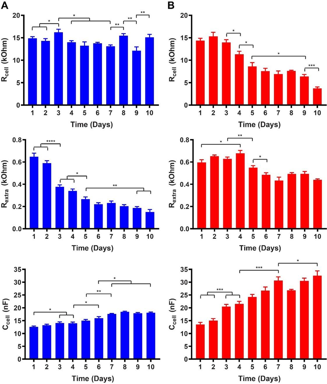 Summary of the cell specific equivalent circuit components (Rcell, Rextra, Ccell) for A) proliferating and B) differentiating hVM1 Bcl-XL cells (seeding density: 120,000 cells/cm2). Time in days after cell seeding. (Error bars: s.e.m., n = 6).