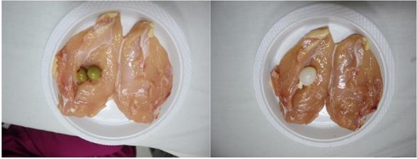 Chicken meat phantom with olive filled with carrot as artificial solid tumor (two green olives) and small balloon filled with water as artificial cystic tumor.