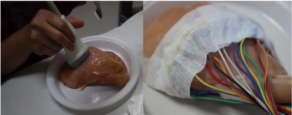 Ultrasound of chicken meat phantom using linear transducer and EIT with electrodes.