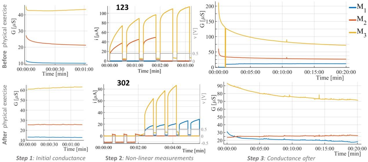 Recordings of test subject “B” before (top plots, number 123 in this case) and after (bottom plots, number 302 in this case) physical exercise shown for the skin under all three measurement electrodes (M1, M2, and M3). DC voltage pulses were applied (middle) and small signal conductance was measured before (left) and after (right) for around 1 minute, and 20 minutes, respectively. The drop of the conductance to zero under M3 in the 20 minutes conductance measurement is an artifact.