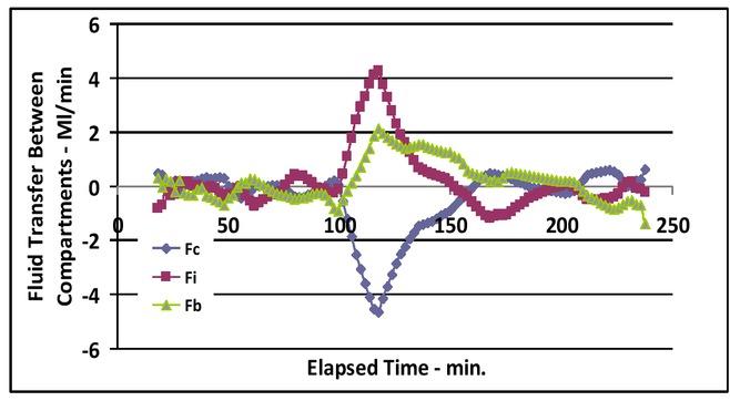 Fluid transfer in and out of the cells (Fc), interstitial space (Fi), and intravascular compartment (Fb) vs. elapsed time.