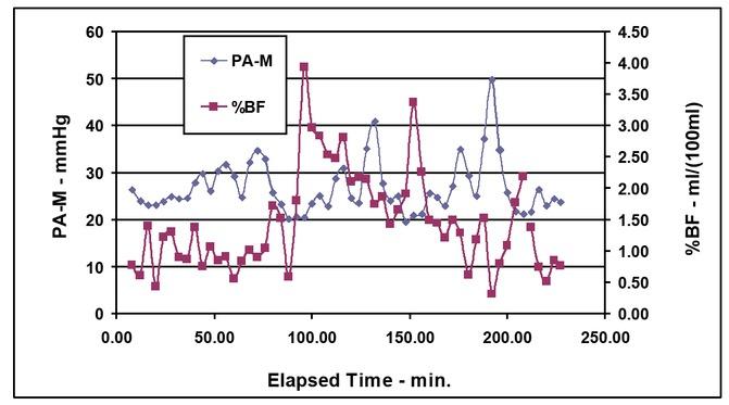 Mean pulmonary arterial pressure (PA-M) and calf percent blood flow (%BF) vs. elapsed time.