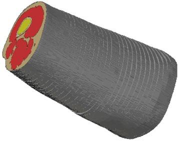 3D-view of thigh after segmentation.