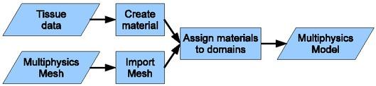 Overview of modeling process. The inputs are tissue data and the previously generated mesh, which are being merged to create a model. This is the base for our bioimpedance experiment. This is done using Multiphysics.