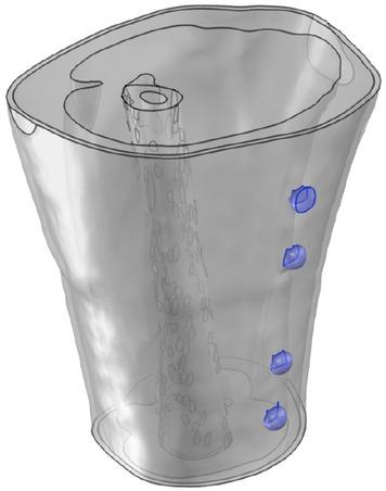 3D view of the model with electrodes selected.