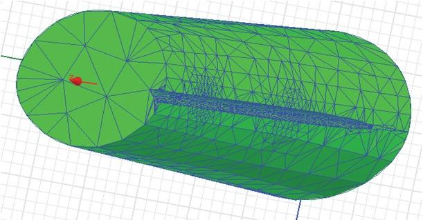 Mesh distribution in the muscle layer with an element size of 10 mm