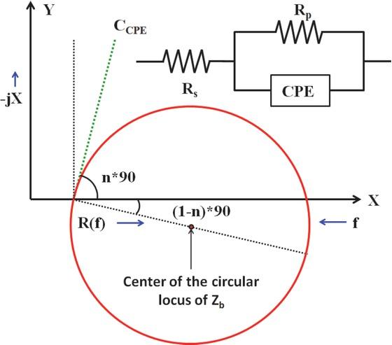 Nyquist plots of circuit combinations containing two sub-circuit blocks: one with series resistance, Rs, and another containing a CPE in parallel with resistance Rp (Rp || CPE).
