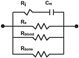 Equivalent Circuit Diagram used in EIS Analysis for Intracellular, Interstitial, and Intravascular Volumes.