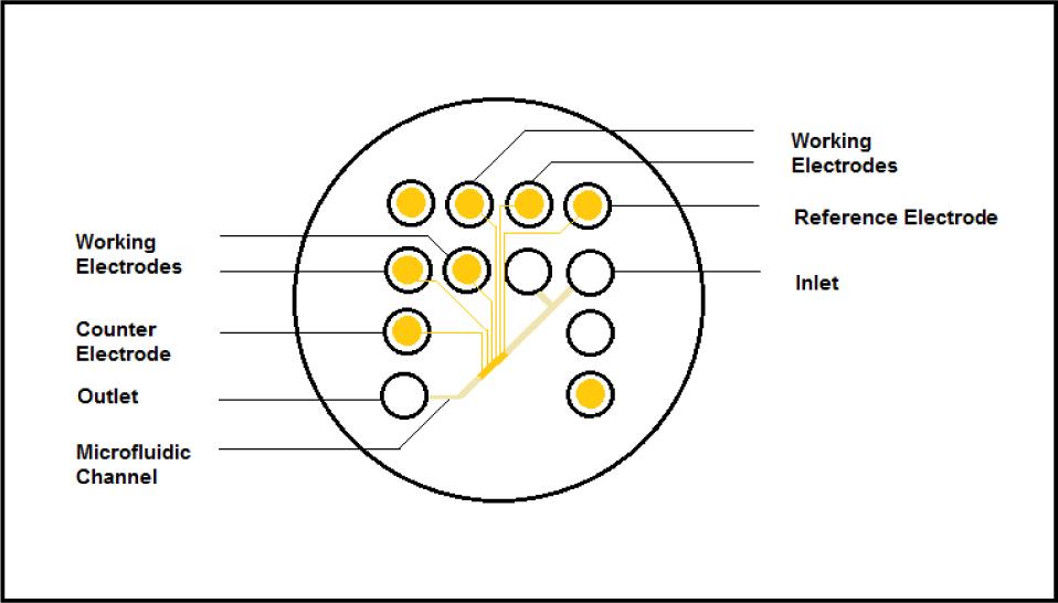 Schematic of complete fabricated chip