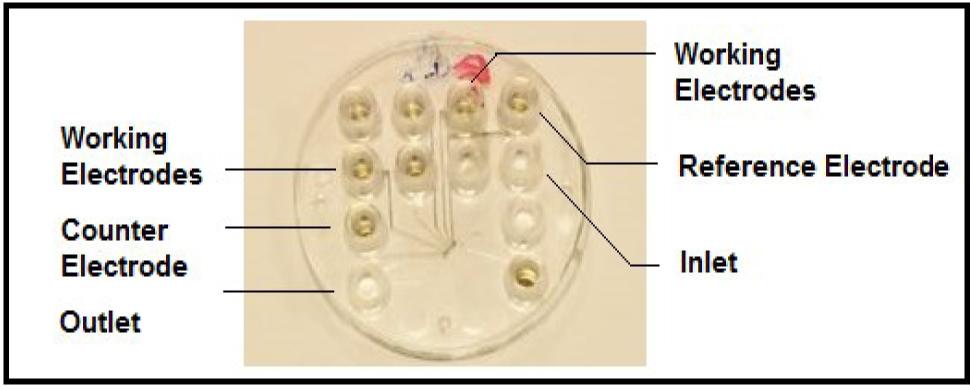 Complete chip after fabrication and bonding
