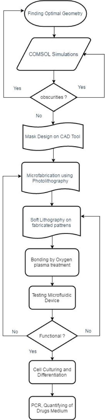 Flow diagram of fabrication milestones