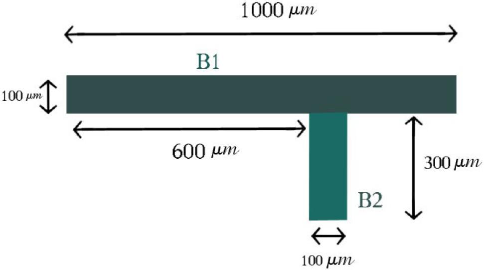 Top view of Designed geometry for device 1