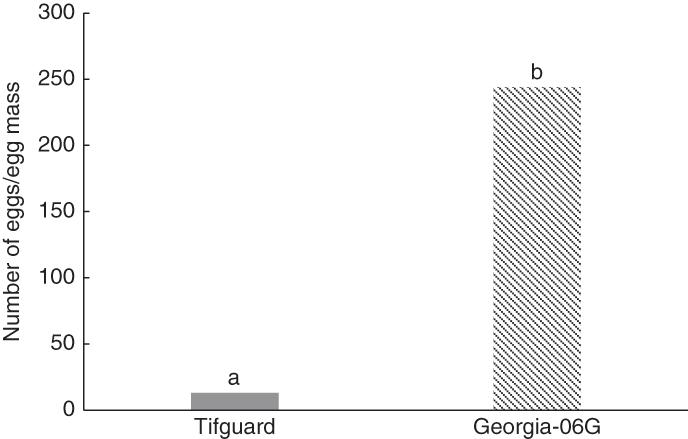 Number of Meloidogyne arenaria eggs per egg mass from roots of the peanut cultivars Tifguard (resistant) and Georgia-06G (susceptible) at 34°C at 40 days after inoculation. Different letters over bars indicate significant differences at P ≤ 0.05.