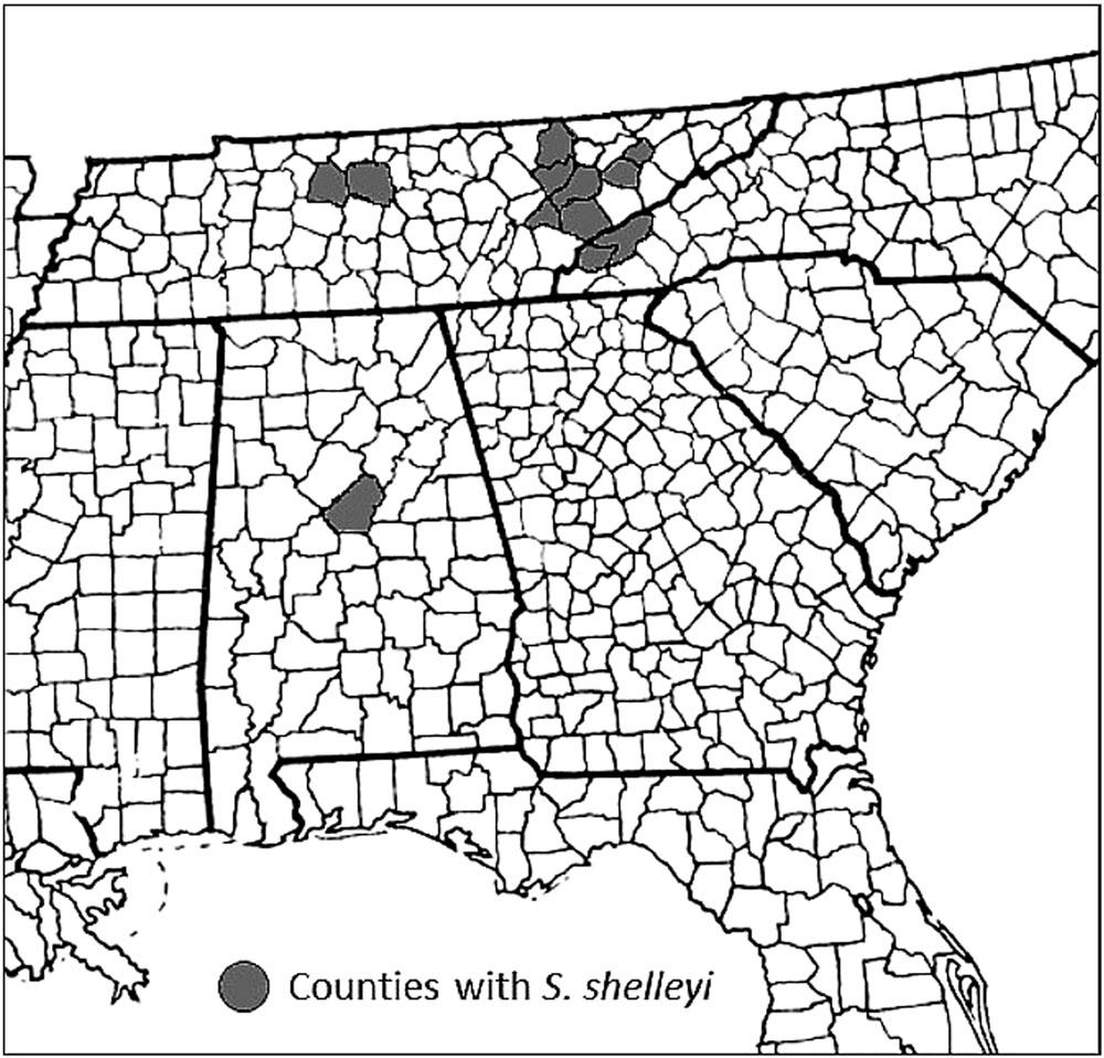 Stauratostoma shelleyi n. gen., n. sp., known distribution by county in southeastern United States.