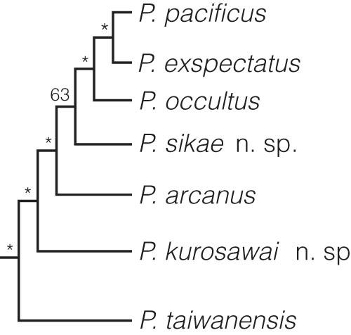 Phylogenetic relationship of the seven species of the ‘pacificus species-complex sensu stricto’. The schematic phylogeny shows a subtree of a phylogeny that was generated from transcriptome data of all cultivable Pristionchus species (Rödelsperger et al., 2018). Inner nodes are labeled with bootstrap support values and stars indicate full bootstrap support (100 replicates).