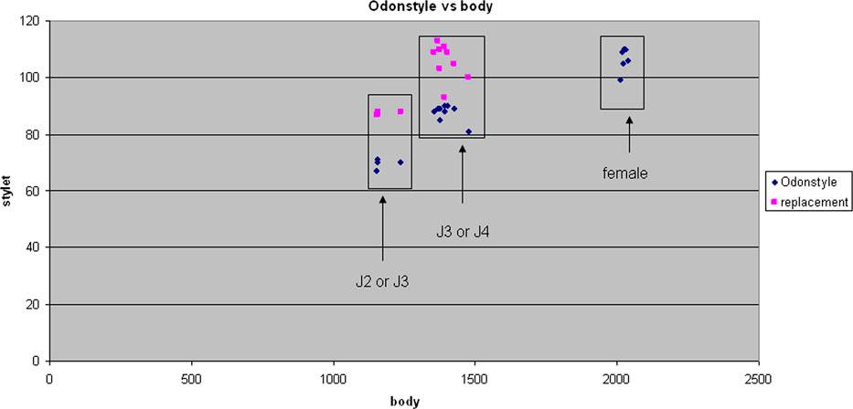 Relationship of body length to length of functional and replacement odontostyle (Ost and rOst, respectively); length in two juvenile developmental stages and mature females of Xiphinema parachambersi n. sp.