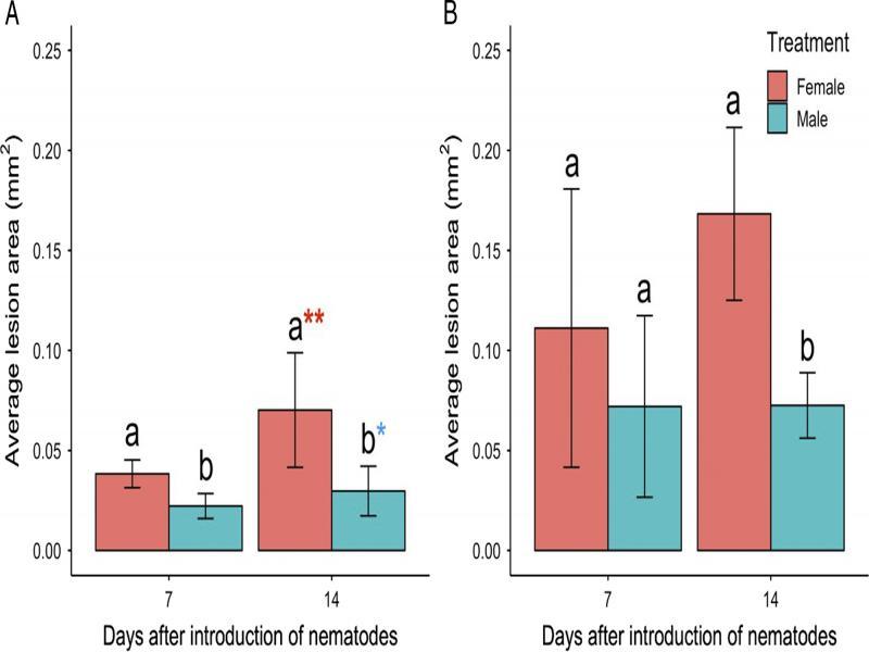 Relationship between time and the average lesion area (mm2) for roots of dill (A) and alfalfa (B) inoculated with 40 Pratylenchus penetrans males or 40 P. penetrans females. Data bars represent the mean ± SE of two trials. Letters represent statistically significant differences between female and male on each day (P< 0 .05). Asterisks denote difference between time points at day 7 and day 14.
