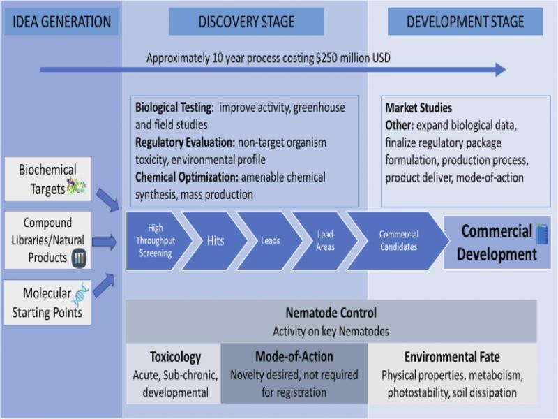 Typical process for discovery and development of new nematicides.