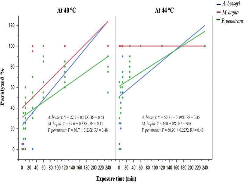 Paralyzed nematode percentage of three nematode species (Aphelenchoides besseyi, Pratylenchus penetrans and Meloidogyne hapla; n = 20) immediately after heat treatment at temperatures 40 and 44°C for various exposure times. Data were combined over two experiments and are means of six replications.