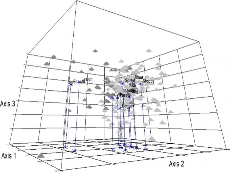 3-D NMS ordination of PPN soil samples from 282 Pecan trees in the Piedmont and Coastal Plain ecoregions of Georgia, USA (Final stress of the 3-D NMS solution = 13.36, proportion of variance explained by all three axes combined = 0.911). Dark gray pyramids (▲) represent pecan soil samples collected from the Piedmont ecoregion (n = 60) and light gray pyramids (▲) represent soil samples collected from the Coastal Plant ecoregion (n = 222).Blue asterisk with names in bold text represent the centroids of the 11 PPN genera (sheath, lesion, cyst, dagger, lance, ring, RKN (root-knot), spiral, stunt, stubby root, pin (Praty)) in the 3-D NMS solution. Piedmont ecoregion soil samples were distributed from the left side of the NMS ordination space to the middle (front to back). Coastal Plain ecoregion soil samples were distributed primarily from the middle to the right side of ordination space. This spatial division of soil samples taken from the Piedmont and Coastal Plains ecoregions strongly suggests that the pecan PPN communities differ between ecoregions.