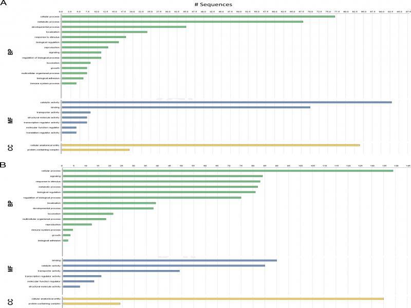Acid fuchsin staining of Meloidogyne chitwoodi in potato roots at 4 (A), 8 (B) and 16 (C) days post inoculation (dpi). Bars, 50 µm.