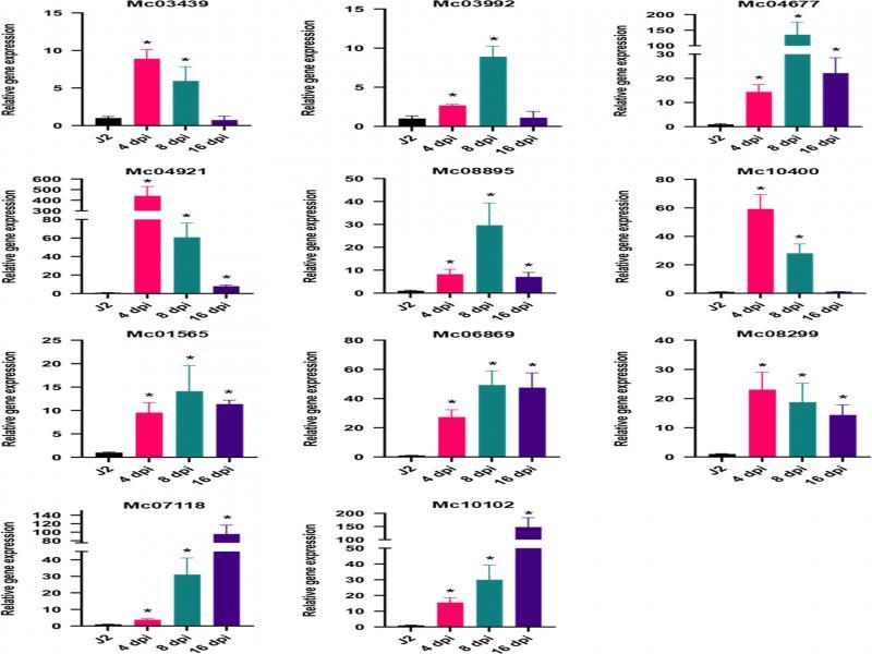 Flowchart summary of RNA-seq analysis and prediction of Meloidogyne chitwoodi genes involved in parasitism. Bioinformatic and other tools are boxed. FC, fold change. FPKM, fragments per kilobase of transcript per million mapped reads.