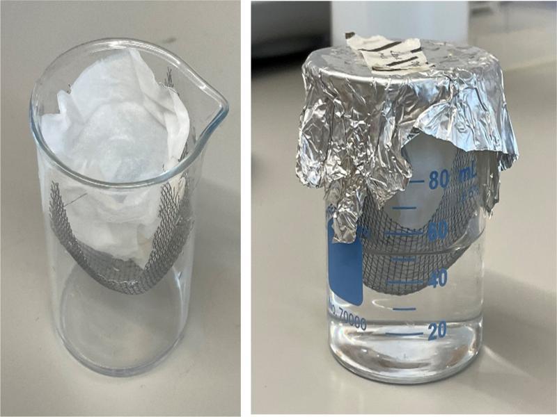 The expression level of selected M. chitwoodi genes in J2 and in parasitic nematodes in potato roots at 4, 8, and 16 dpi. McITS2 was used as the reference gene. The results show the fold change relative the juvenile stage, n = 3 ± SEM, * P < 0.05 using two-tailed Student’s t test.