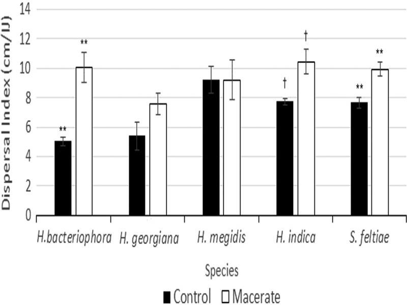 Dispersal responses of five EPN species after exposure to their own macerate. Bars show means +/- SEM. Symbols over bars indicate species that showed statistically significant increases in dispersal after conspecific macerate exposure († = P < 0.10, ** = P < 0.01).