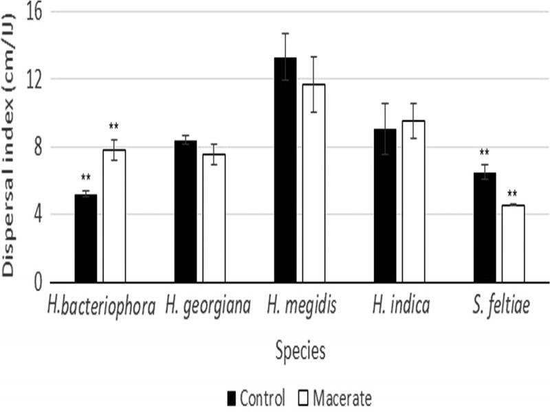 Dispersal responses of five EPN species after exposure to macerate derived from Heterorhabditis bacteriophora-infected cadavers. Bars show means ± SEM. Symbols over bars indicate species that showed statistically significant changes in dispersal after conspecific macerate exposure (**= P < 0.01). Relative to H. bacteriophora, increasing distance to the right along the graph represents increasing phylogenetic distance, according to Spiridonov and Subbotin (2016).
