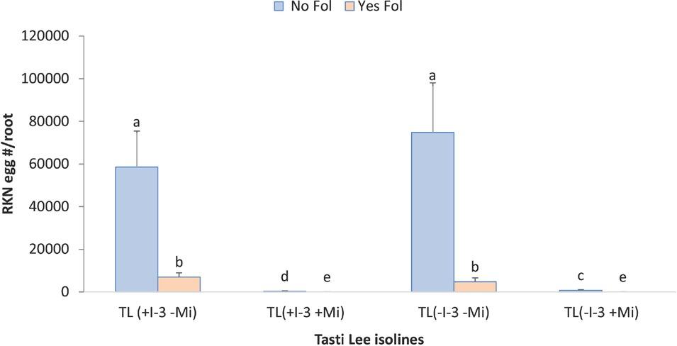 Interaction between Fol 3 and cultivar on egg production of Tasti Lee isolines (with and without I-3 and Mi genes) at 28 DAT in experiment 1. TL, Tasti Lee; +, with, -, without; DAT, days after transplanting.
Note: Although effects are grouped by genetic background, letters indicating significance apply across all means.