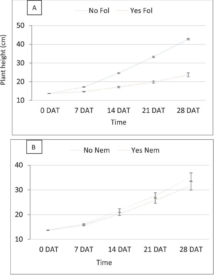 Effect of Fol (A) and RKN (B) on plant height by time in experiment 1. Fus, Fusarium wilt; Nem, root-knot nematode.