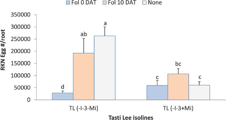 Interaction between Fol and cultivar on egg production of two Tasti Lee isolines (with and without Mi gene) at 42 DAT in experiment 2. TL, Tasti Lee; +, with, -, without; DAT, days after transplanting; 0 DAT, inoculated at planting; 10 DAT, inoculated 10 days after transplanting. Note: Although effects are grouped by genetic background, letters indicating significance apply across all means.