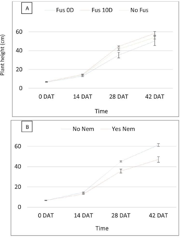 Effect of Fol (A) and RKN (B) on plant height by time in experiment 2. Fus, Fusarium wilt; Nem, root-knot nematode; 0D, 0 days after transplanting; 10D, 10; DAT, days after transplanting.