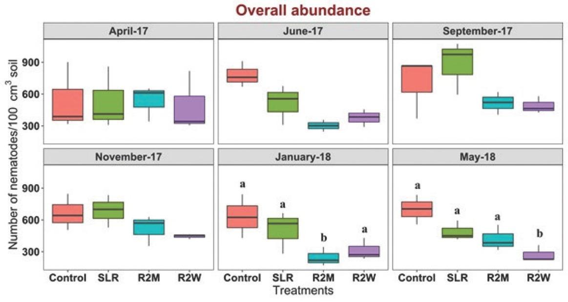 Effect of increasing levels of physical disturbance on genus-level nematode abundance. Box plots representing the number of nematodes per 100 cm3 of soil in control, SLR, R2M, and R2W at each sampling time. Lower and upper box boundaries represent 25th and 75th percentiles, respectively; line inside the box indicates median; and lower and upper error lines represent 10th and 90th percentiles, respectively. Letters indicate significant differences among treatments at each sampling time at P < 0.05 (Tukey–LSD test). R2M, rototill for every 2 mon; R2W, rototill for every 2 wk; SLR, surface litter removed.