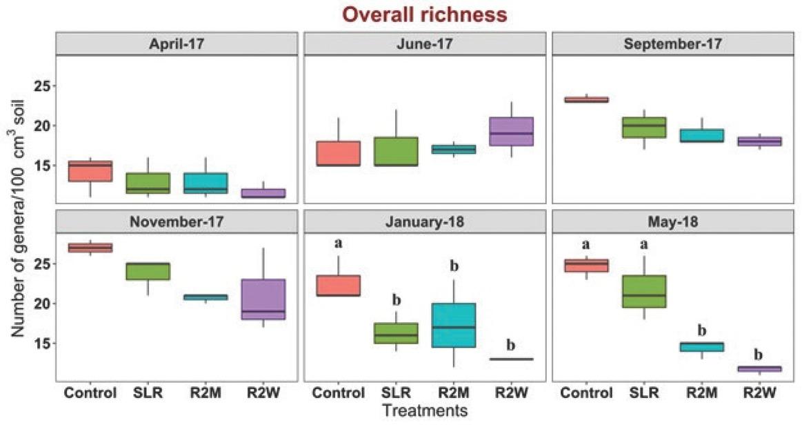 Effect of increasing levels of physical disturbance on genus-level nematode richness. Box plots representing the number of genera per 100 cm3 of soil in control, SLR, R2M, and R2W at each sampling time. Lower and upper box boundaries represent 25th and 75th percentiles, respectively; line inside the box indicates median; and lower and upper error lines represent 10th and 90th percentiles, respectively. Letters indicate significant differences among treatments at each sampling time at P < 0.05 (Tukey–LSD test). R2M, rototill for every 2 mon; R2W, rototill for every 2 wk; SLR, surface litter removed.