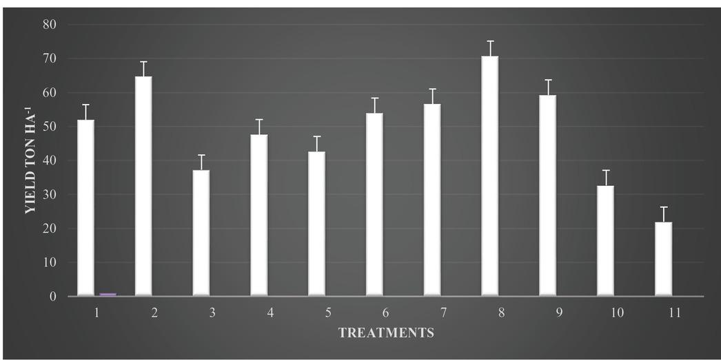 Effects of integrated management approaches on cucumber yield (ton per ha) against root-knot nematode and Fusarium in the first season in polyhouse conditions.Note: 1 = neem cake 200 g/m2 + neem oil seed treatment 20% v/w; 2 = neem cake 200 g/m2 + Purpureocillium lilacinum seed treatment 20 g/kg seed; 3 = neem leaves 200 g/m2 + neem oil seed treatment 20% v/w; 4 = neem leaves 200 g/m2 + P. lilacinum seed treatment 20 g/kg seed; 5 = P. lilacinum soil application 50 g/m2 + neem oil seed treatment 20% v/w; 6 = P. lilacinum soil application 50 g/m2 + P. lilacinum seed treatment 20 g/kg seed; 7 = formalin 250 ml/m2 + P. lilacinum seed treatment 20 g/kg seed; 8 = formalin 250 ml/m2 + neem oil seed treatment 20%v/w; 9 = carbofuran 10 g/m2; 10 = bavistin 2 g/l water; 11 = control (inoculated).