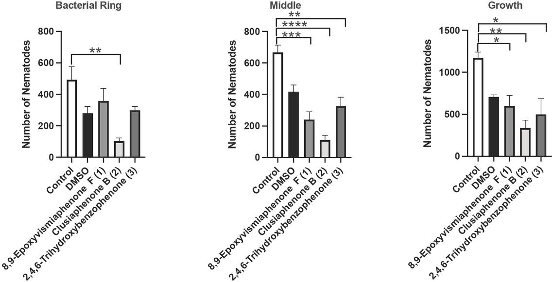 Effects of 8,9-epoxyvismiaphenone F (1), clusiaphenone B (2), and 2,4,6-trihydroxybenzophenone (3) on nematode chemotaxis and growth. (A) Nematodes in the bacterial ring. (B) Nematodes in the compound. (C) Nematode growth on day 3. Chemotaxis and growth decreased with 3-d exposure to 8,9-epoxyvismiaphenone F (1), clusiaphenone B (2), and 2,4,6-trihydroxybenzophenone (3). Nematodes were placed in the middle of nutrient growth agar plates in compounds (1, 2, 3) for 3 d. Nematodes in the bacterial ring and middle of ring assay plates were counted on day 3. Clusiaphenone B (3) decreased the number of nematodes in the bacterial ring compared to control on day 3 when conducting a one-way ANOVA (P-value <0.05). 8,9-Expoxyvismiaphenone F (1) and 2,4,6-trihydroxybenzophenone (3) did not significantly decrease nematodes in the bacterial ring on day 3 when compared to control (P-value >0.05). 8,9-Epoxyvismiaphenone F (1), clusiaphenone B (2), and 2,4,6-trihydroxybenzophenone (3) decreased nematodes in the middle of ring assay plate when compared to control on day 3, and the corresponding P-values are 0.0005 (***), <0.0001 (****), and 0.0026 (**), respectively. On day 3, all live nematodes on ring assay plates were counted and the number demonstrates growth. 8,9-Epoxyvismiaphenone F (1), clusiaphenone B (2), and 2,4,6-trihydroxybenzophenone (3) decreased nematode growth when compared to control on day 3, and the corresponding P-values are 0.0314 (*), 0.0028 (**), and 0.012 (*), respectively. Significance was determined under a one-way ANOVA and Tukey’s post-hoc test. Data are presented as the mean ± SEM for A–C for three independent replicates, each containing three ring assay plates per treatment group, n = 9.