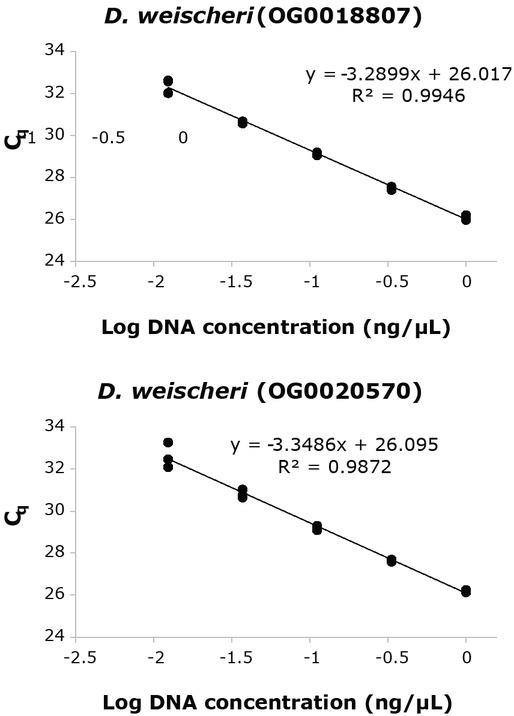 Representative standard curves for Ditylenchus weischeri primer-probe sets for orthogroups OG0018807 and OG0020570. Average amplification efficiencies (SE) based on three real-time PCR runs were 100.2% (3.05) and 98.0% (3.97), respectively.
