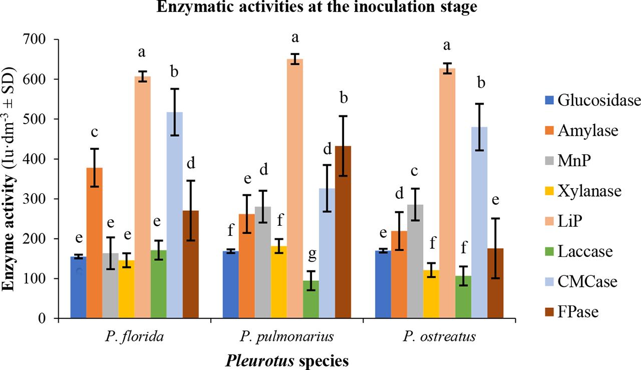 Comparison of enzymatic activities of three Pleurotus species cultured in composted giant grass at the inoculation phase (comparisons were made within species)