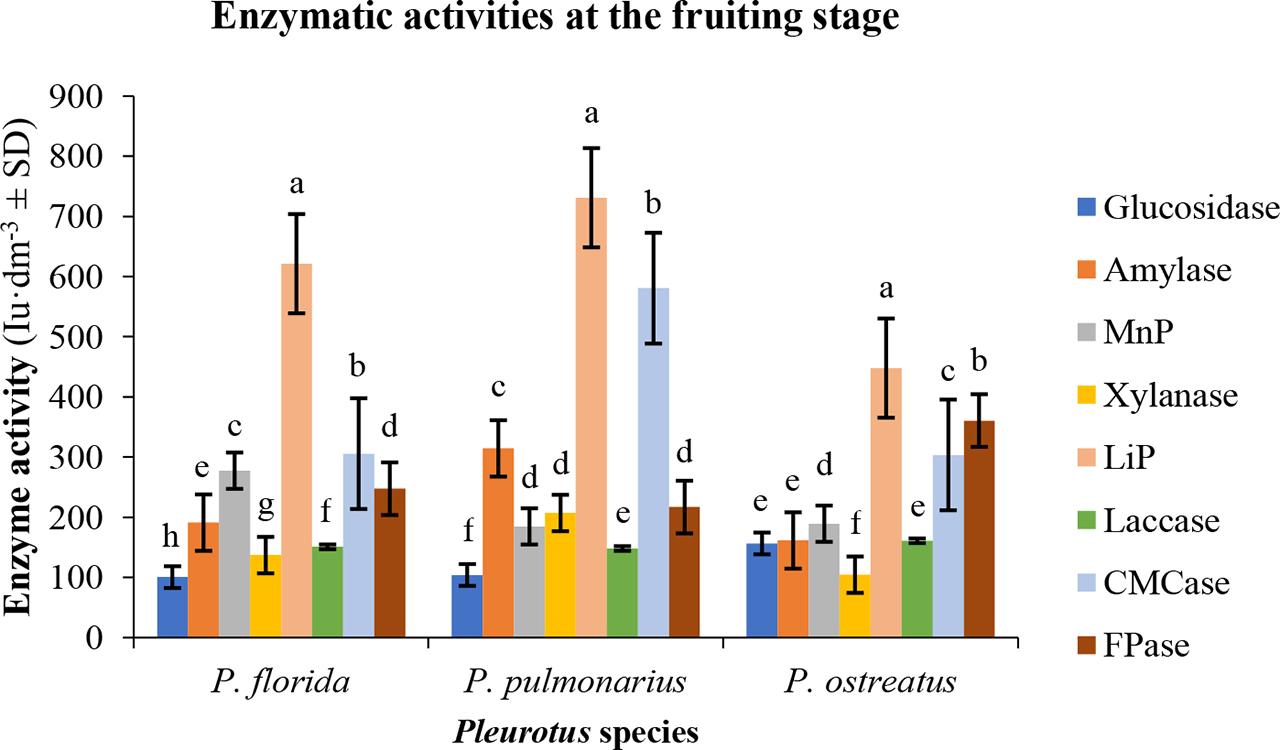 Comparison of enzymatic activities of three Pleurotus species cultured in composted giant grasses at the fruiting stage
