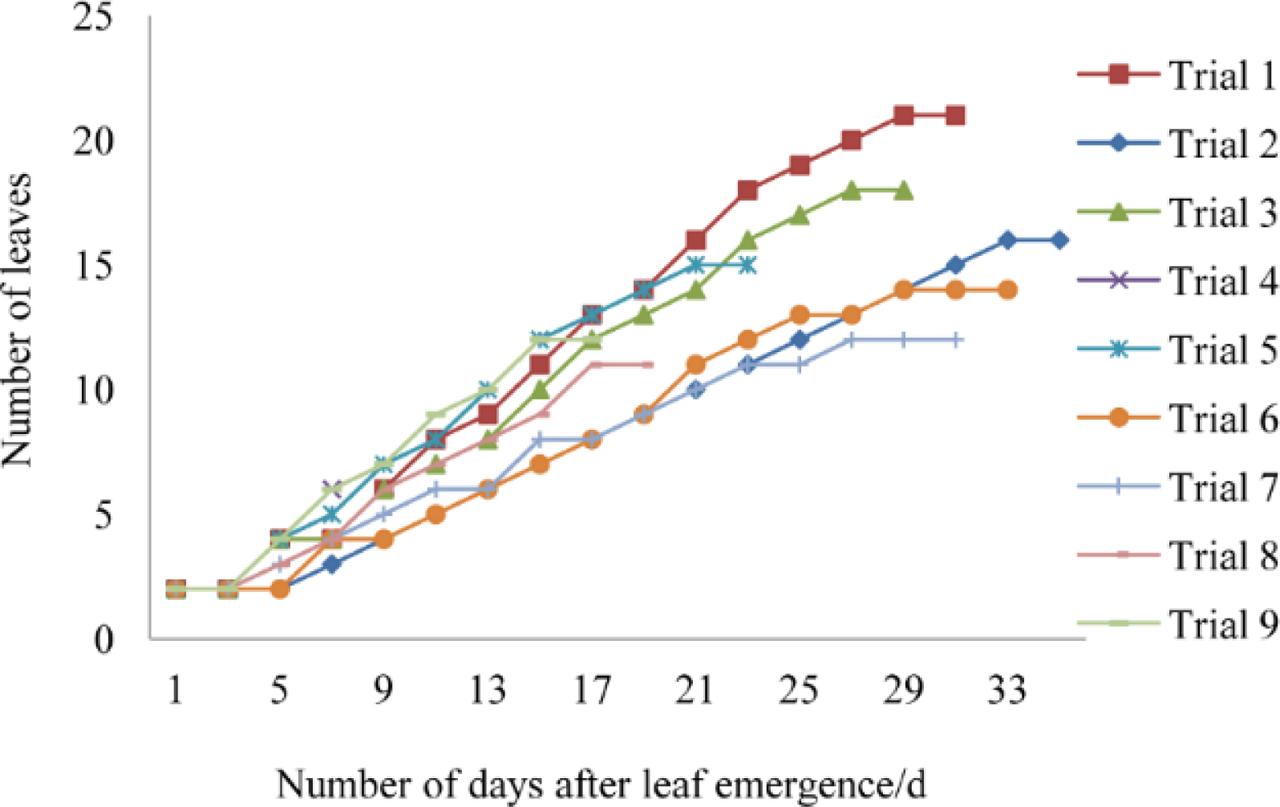 The variation trends of the number of leaves with time under various growth environments (temperature; humidity; light intensity)