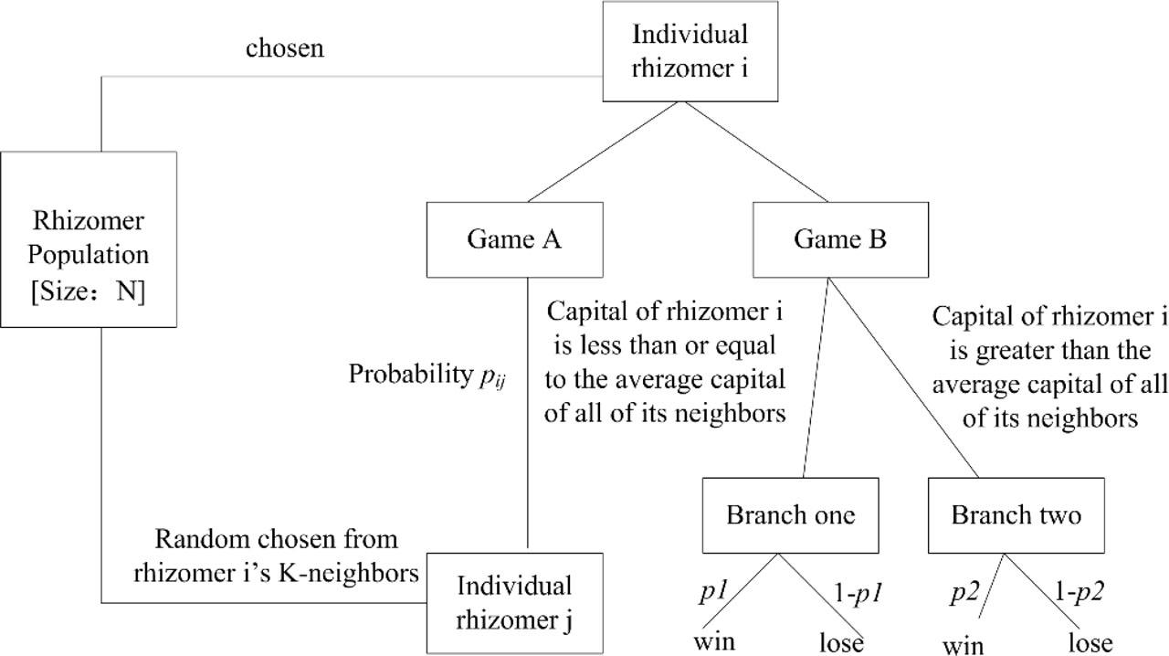 Structure of Parrondo's game of rhizomers