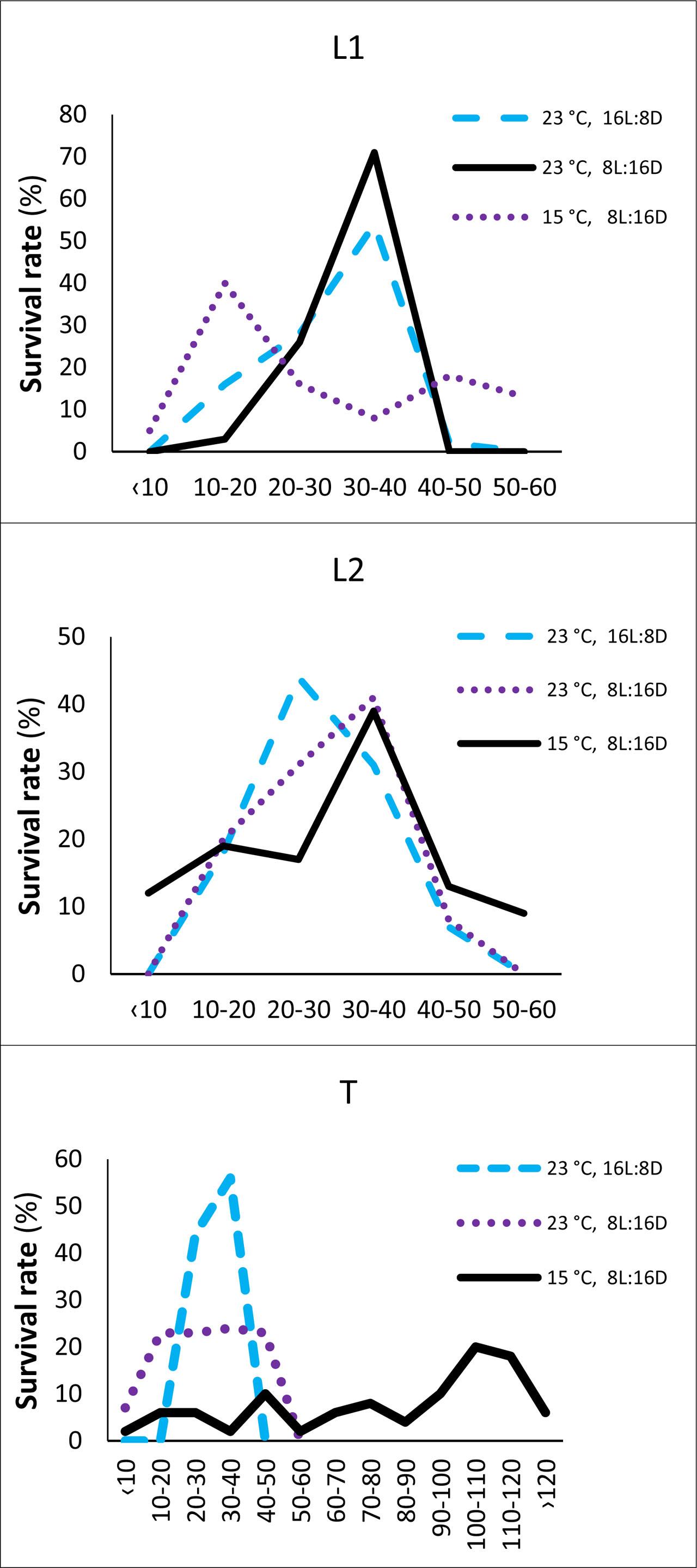 Effects of temperature and photoperiod on the survival rate of L1, L2, and T lineages of adult females at 23 °C under long and short daylight and at 15 °C under short daylight