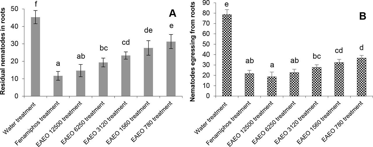 Effects of EAEO compared to fenamiphos and water control on rate of nematode infection of banana-root segments: residual nematodes in roots (A), nematodes egressing from roots (B)Values are the average of three replicates (mean ± standard deviation) and using Tukey’s HSD test to compare means; Bars with various letters (a, b, c, d, e, and f) are significantly different (p < 0.05)