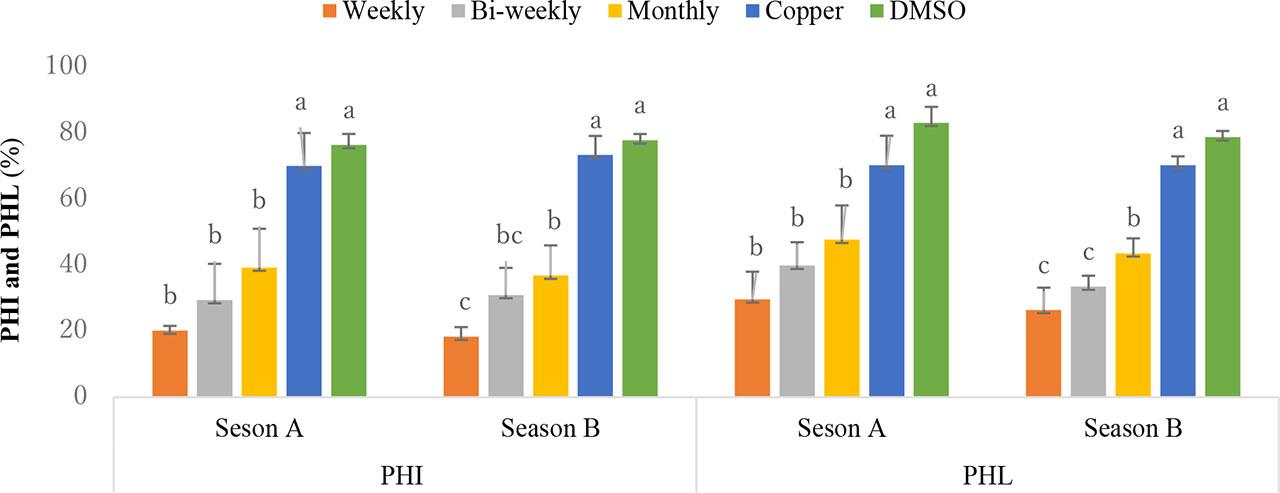 Effect of application frequency of plant extracts on potato tuber postharvest infection – PHI (%) and postharvest yield losses – PHL (%) caused by Ralstonia solanacearum in seasons A and B 2021Note: see Figure 1