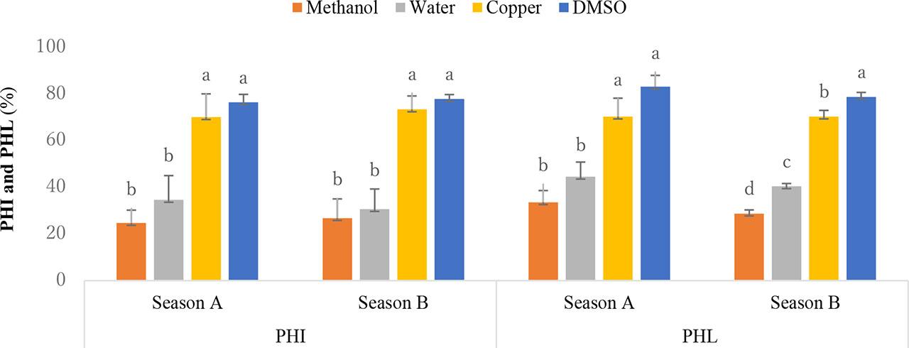 Effect of solvent extracts on potato tuber postharvest infection – PHI (%) and postharvest yield losses – PHL (%) caused by Ralstonia solanacearum in seasons A and B 2021Note: see Figure 1